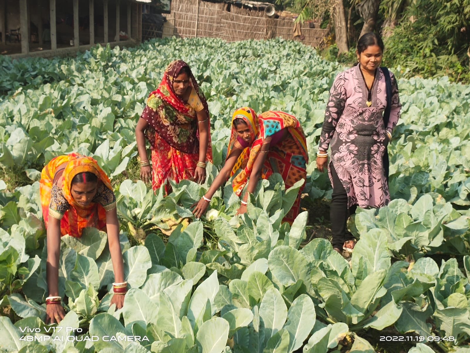 Livelihood & Entrepreneurship